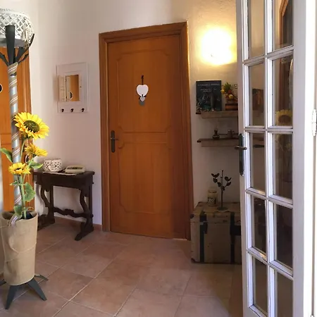 Ncivico19 Lt * Olbia