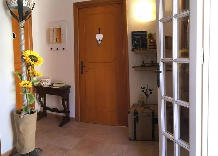 Ncivico19 Lt * Ольбия